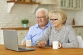 Happy mature couple sitting in front of laptop computer at home and video calling grandchildren Royalty Free Stock Photo