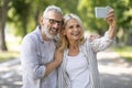 Happy Mature Couple Taking Selfie On Smartphone While Walking In Park Royalty Free Stock Photo