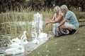 Happy mature family feeding swans on lake Royalty Free Stock Photo