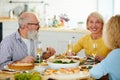 Happy mature friends having dinner together Royalty Free Stock Photo