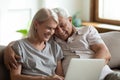 Happy senior couple relax at home using laptop Royalty Free Stock Photo