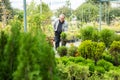 Happy mature male buyer in casual wear holding pot with Cupressus Goldcrest Wilma in outdoor plant market