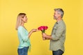 Happy mature man presenting flowers to his wife for Valentine's Day or anniversary over yellow studio background Royalty Free Stock Photo