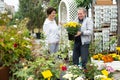 Happy mature married couple in casual wear buying potted Chrysanthemum Mishal flowers in outdoor bazaar Royalty Free Stock Photo