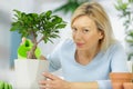 happy mature woman with bonsai Royalty Free Stock Photo