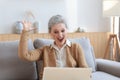 Happy mature woman celebrating online win using laptop sitting on couch at home. Royalty Free Stock Photo