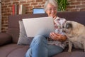 Happy mature woman at home working with laptop, sitting close to her old pug dog Royalty Free Stock Photo