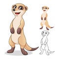 Happy Meerkat Cartoon Character Design Royalty Free Stock Photo