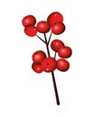 Happy merry christmas decorative cherries seeds