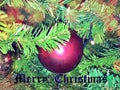 Happy Merry Christmas and Happy New Year in the World.....