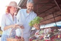 Happy mid adult couple buying fresh organic vegetables in a marketplace