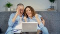 A happy middle-aged couple, looking at a laptop, feels like an online winner. Royalty Free Stock Photo