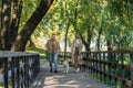 Happy middle aged couple walking near Royalty Free Stock Photo