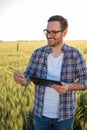 Happy millennial farmer or agronomist inspecting wheat plants in a field before the harvest, working on a tablet