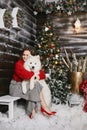 Happy model girl in a red cozy sweater and checkered pants hugging with cute snow white Samoyed dog at Christmas rustic Royalty Free Stock Photo