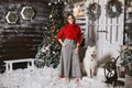 Happy model girl in a red cozy sweater and checkered pants posing with cute snow white Samoyed dog at Christmas rustic Royalty Free Stock Photo
