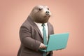 a happy mole in a business suit with a laptop, created with Generative AI technology