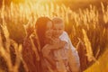 Happy mom with son in the field at sunset. happy childhood. A young woman hugs her son Royalty Free Stock Photo