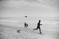 Happy moment of family with dog running on the beach