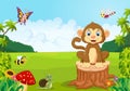 Happy monkey cartoon in the forest Royalty Free Stock Photo