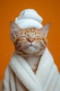 A happy morning image. A red-haired cat in a bathrobe and with a towel on his head rejoices on an orange background Royalty Free Stock Photo