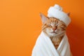 A happy morning image. A red-haired cat in a bathrobe and with a towel on his head rejoices on an orange background Royalty Free Stock Photo