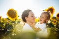 Happy mother with the daughter in the field with sunflowers having fun on a sunny summer day. Family value, unity Royalty Free Stock Photo