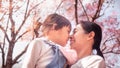 Happy mother and her cute little daughter are touching their noses and smiling on sakura trees background in the park in springtim Royalty Free Stock Photo