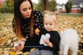 Happy mother and her daughter playing with dog in autumn park. Family, pet, domestic animal and lifestyle concept Royalty Free Stock Photo