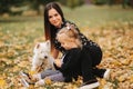 Happy mother and her daughter playing with dog in autumn park. Family, pet, domestic animal and lifestyle concept Royalty Free Stock Photo