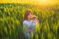 Happy mother holding baby smiling on wheat field in sunlight. Royalty Free Stock Photo