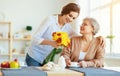 Happy mother`s day! adult daughter gives flowers and congratulates an elderly mother on holiday Royalty Free Stock Photo