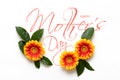 Happy Mother`s Day Background. Flat lay greeting card with beautiful gerbera flowers on white background. Royalty Free Stock Photo