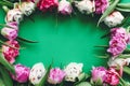 Happy mother`s day. Beautiful double peony tulips frame flat lay on green paper, space for text. International women`s day. Hell Royalty Free Stock Photo