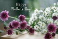 Happy Mothers Day. Mothers day card concept with text message on floral background of beautiful white and purple daisy flowers.