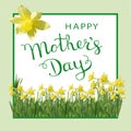 Happy Mother`s Day card narciss. Royalty Free Stock Photo