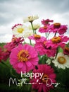 Happy Mother`s Day card with natural bouquet of colorful zinnia flowers background in portrait composition. Mother`s Day concept Royalty Free Stock Photo
