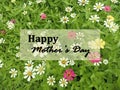 Happy Mother\'s Day card sign on green background of fresh red and white zinnia flowers plant with leaves. Royalty Free Stock Photo