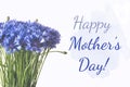 Happy Mother`s Day collage. Blue cornflowers bunch isolated on white background Royalty Free Stock Photo