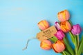 Happy Mother`s day concept with beautiful tulip flowers  on wooden background with copy space Royalty Free Stock Photo