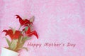 Happy Mother`s day concepts. Mother`s day and Sweetest day, love concept. Red flower with the letter Happy Mother`s day on pink Royalty Free Stock Photo