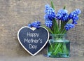 Happy Mother`s Day greeting card with blue spring Muscari flowers in a glass vase and decorative heart on old wooden background.