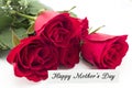 Happy Mother`s Day, Greeting Card, with Bouquet of Red Roses Royalty Free Stock Photo