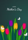 Happy mother s day - greeting card with colorful tulips Royalty Free Stock Photo