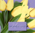 Happy Mother`s Day greeting card. Spring cut flowers tulips, festive background. Vector illustration. Women`s holiday Royalty Free Stock Photo