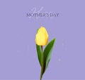 Happy Mother`s Day greeting card. Spring cut flowers tulips, festive background. Vector illustration. Women`s holiday Royalty Free Stock Photo