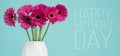 Happy Mother`s Day Pastel Candy Blue Coloured Background with pink gerberas in a vase. Royalty Free Stock Photo