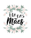 Happy Mother\'s Day in Portuguese. Lettering. Ink illustration. Modern brush calligraphy. Dia das Maes