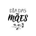 Happy Mother`s Day in Portuguese. Lettering. Ink illustration. Modern brush calligraphy. Dia das Maes