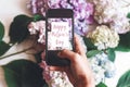 Happy Mother`s Day text sign on phone screen in woman hands on background of hydrangea flowers on rustic white wood, flat lay. Royalty Free Stock Photo